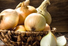 Jangan Remehkan Bawang Bombai! Ini Manfaat Dahsyatnya untuk Jantung Anda