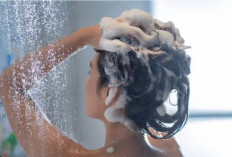 Mengatasi Kerontokan Rambut: 7 Shampoo Terfavorit dan Teruji