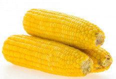 Mau Langsing Tanpa Tersiksa? Coba Ganti Nasi dengan Jagung!