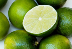 Penderita Diabetes Wajib Tahu! Jeruk Nipis Ternyata Bisa Bantu Stabilkan Gula Darah