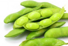 Mengurangi Risiko Osteoporosis dengan Edamame: Camilan Kaya Nutrisi yang Menjaga Tulang Anda