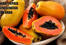 Konsumsi Pepaya Setiap Hari: Manfaat Kesehatan yang Menakjubkan