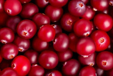 Cranberry dan 7 Manfaatnya yang Tak Boleh Anda Lewatkan