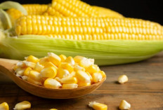 Si Kuning Manis Ini Ternyata Ampuh Bikin Berat Badan Lebih Terjaga