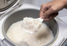 Kenapa Nasi Cepat Basi di Rice Cooker? Ini 6 Penyebab yang Jarang Disadari!