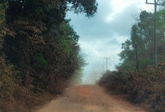 Jalan Rusak di Banyuasin, Warga Keluhkan Debu Terancam ISPA