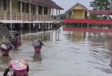 Pelajar SD di Penandingan Banyuasin Terobos Banjir Demi ke Sekolah