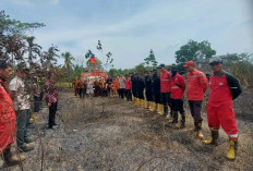 Lahan Dibelakang SMAN Plus 2 Banyuasin Dilalap Api