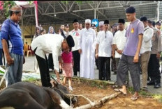 Hari Raya Idul Adha 1445 H, Polres Banyuasin Potong 9 Ekor Sapi Kurban 