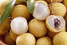 Penderita 5 Penyakit Ini Sebaiknya Hindari Konsumsi Buah Kelengkeng