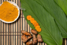 Mencegah Kanker Secara Alami dengan Antioksidan dari Daun Kunyit