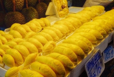 7 Durian Premium dengan Harga Selangit, Mana yang Pernah Anda Coba?