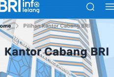 Prosedur Serta Info Lelang di BRI