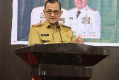 FGD Pengukuran IDI 2024, Sekda Sumsel: Dorong Penguatan Demokrasi Daerah