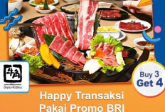 Happy Transaksi Pakai Promo BRI