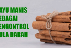 Kayu Manis, Menstabilkan Gula Darah dan Meningkatkan Metabolisme