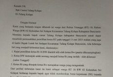 Diduga Cacat Prosedur, Pemilihan Ketua RT di Sei Sedapat Talang Kelapa Banyuasin Diprotes Warga