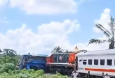 Kereta Api Hantar Bus di Martapura: 1 Orang Meninggal 42 Orang Luka, Sopir dan Kernet Kabur