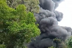 Tumpahan Minyak di Desa Sungai Dua Terbakar Hebat, Pemerintah dan Pihak Terkait Bergerak Cepat