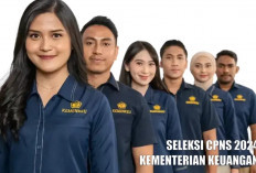 Kementerian Keuangan Buka Rekrutmen CPNS 2024: Kesempatan Emas untuk Karier Bagi Lulusan SMA Sederajat