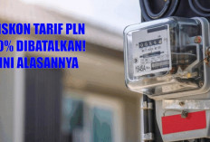 Waduh! Pemerintah Batalkan Diskon Tarif PLN 50%, Bakal Dialihkan Kesini