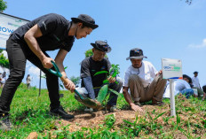 Pulihkan Hutan Bekas Tambang, Aksi Nyata Kelompok Tani Selamatkan Lingkungan Bersama BRI Menanam-Grow & Green