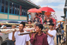 Di Tengah Modernisasi, Warga Kuala Puntian Tetap Istiqomah Lestarikan Tradisi Arak-arakan Pengantin Tandu