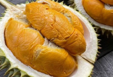 Pencinta Durian, Yuk Bikin 5 Olahan dari Si Raja Buah !
