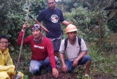 Heboh! Sarang Buaya Ditemukan Dekat Permukiman Warga di Tanjung Sari