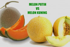 Rahasia Kesehatan dalam Dua Melon: Putih dan Kuning, Mana Pilihan Anda?