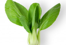 Bukan Susu, Ternyata Sayur Ini Sumber Kalsium, Vitamin K, dan Magnesium Terbaik!