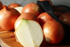 Tak Disangka! Bawang Bombai Ternyata Ampuh Turunkan Gula Darah Secara Alami