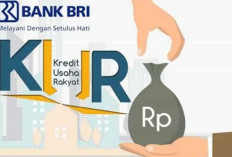 Adanya KUR BRI Debitur Semakin Dipermudah Kembangkan Usaha, Bunga Kecil Pencairan Cepat