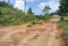 Jalan Kampung Harapan Remiling Masih Tanah, Warga Usulkan Dicor Beton