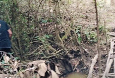 Sungai Mulai Mengering, Warga Banyuasin Waspada Karhutbunla