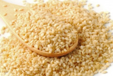 Biji Wijen: Si Kecil Kaya Antioksidan Penangkal Penyakit Kronis