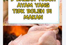 Hati-hati! Bagian Tubuh Ayam Ini Ternyata Sarang Parasit dan Bakteri