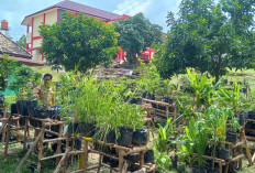 SMPN 1 Betung Siap Sukseskan Gerakan Tanam Sayur