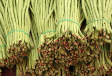 Kacang Panjang: Sumber Alami Kalsium dan Fosfor untuk Tulang Kuat di Usia Senja