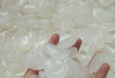 Bukan Cuma Enak, Kolang-Kaling Juga Bantu Jaga Cairan Tubuh