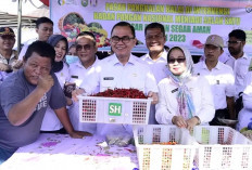 Tinjau Pasar Paba, Pj Bupati Hani: Langkah Konkret Pemkab Banyuasin Kendalikan Inflasi