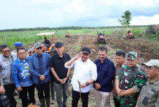 OKI Jadi Andalan Program Cetak Sawah di Sumsel