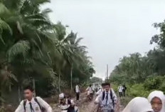 Perjuangan Peserta Didik Mau ke Sekolah Harus Melalui Jalan Berlumpur