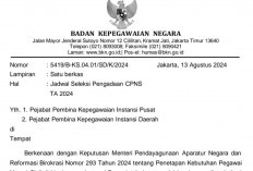 BKN Resmi Umumkan Jadwal Seleksi CPNS 2024, Ini Tanggalnya!