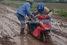 Pelabuhan Sri Menanti-Karang Baru Beroperasi: Masyarakat Keluhkan Akses Jalan Menuju Pelabuhan Berlumpur