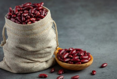 Terungkap! Kacang Merah Ternyata Ampuh Mengontrol Gula Darah, Cocok untuk Penderita Diabetes!