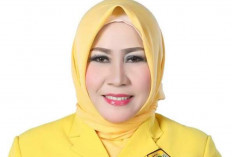 Diana Basir, Digadang-gadang Jadi Wakil Pakde Slamet