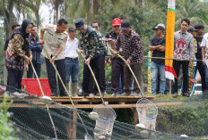 Banyuasin Jadi Pusat Budidaya Patin Sumsel, Desa Sungai Rengit Produksi 40 Ton/Hari