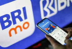 Merasa Terbantu dengan BRImo, Transaksi Harian Jadi Lebih Mudah dan Cepat