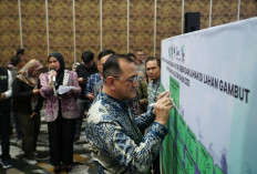 Pemprov Sumsel Kerahkan Segala Daya Tangani Karhutla